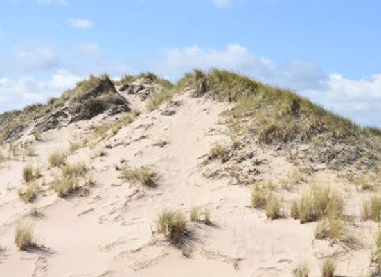 denmark/skagen/attraction/sandmilen