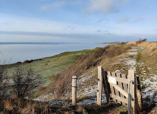denmark/the-south-funen-archipelago/attraction/voderup-klint
