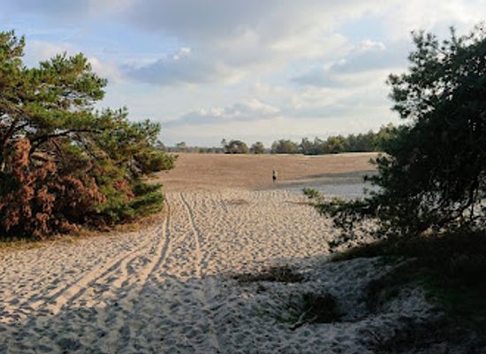 netherlands/veluwe/landmark/zandverstuiving-de-haere-doornspijk