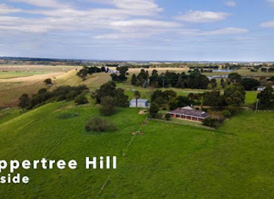 australia/gippsland/landmark/gippsland-lakes-escapes-holiday-accommodation-paynesville