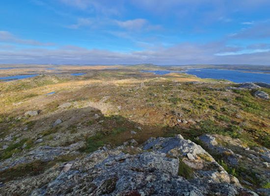 canada/avalon-peninsula/landmark/avalon-wilderness-reserve