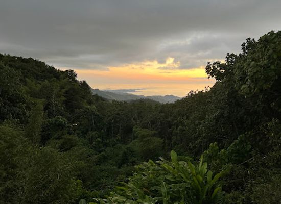 grenada/seven-sisters-falls/landmark/st-george-s-viewing-platform