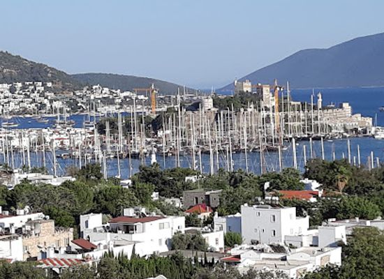 turkiye/bodrum/landmark/yuksel-caglar-hatira-ormani