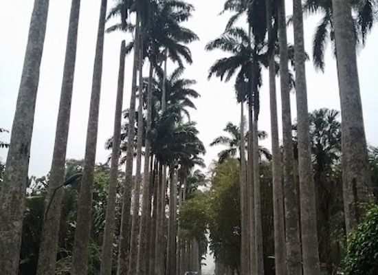 ghana/north-east-region/landmark/idarkconsult-ltd