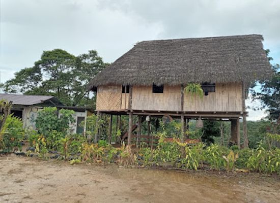 ecuador/amazon/landmark/turismo-guayusa-runa-centro-cultural-ambiental
