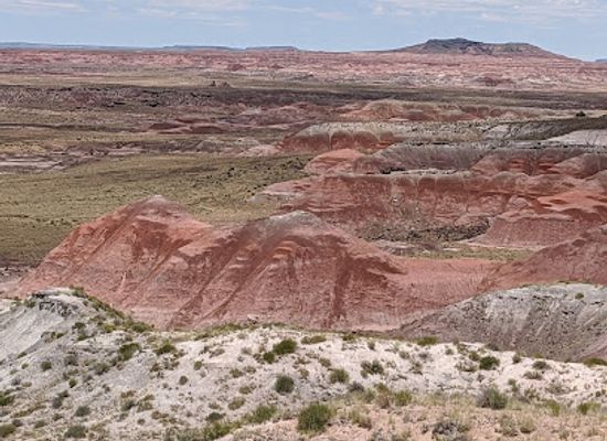 arizona/petrified-forest-national-park/landmark/whipple-point