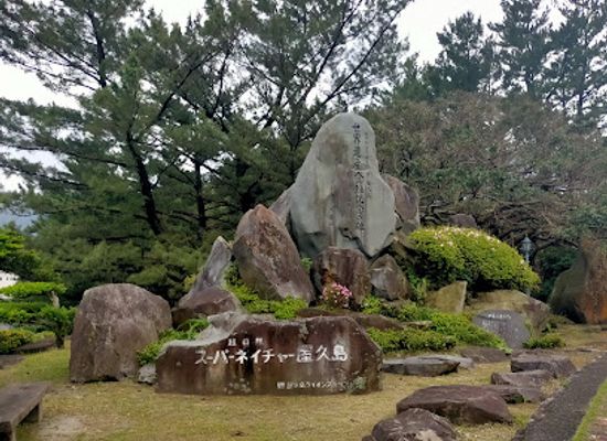 japan/yakushima/landmark/yakushima-environmental-and-cultural-village-center