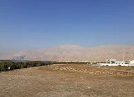 united-arab-emirates/jebel-jais/landmark/rak-mangroves
