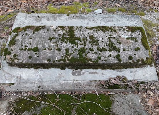 illinois/southern-illinois/landmark/martha-furnace-national-historic-site