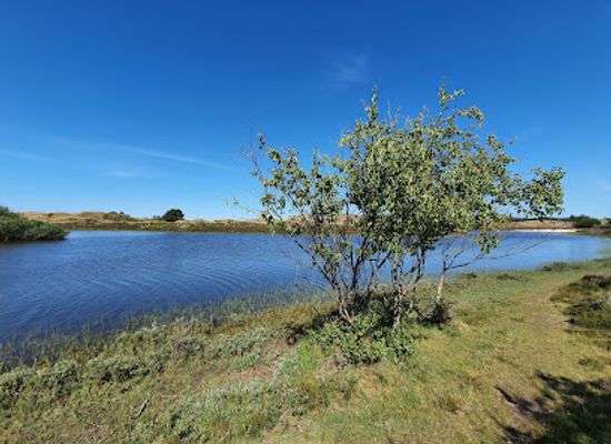 netherlands/kennemerland/landmark/schoorlse-duinen