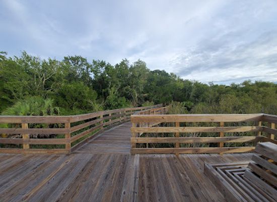 florida/apalachicola/landmark/scipio-creek-boardwalk