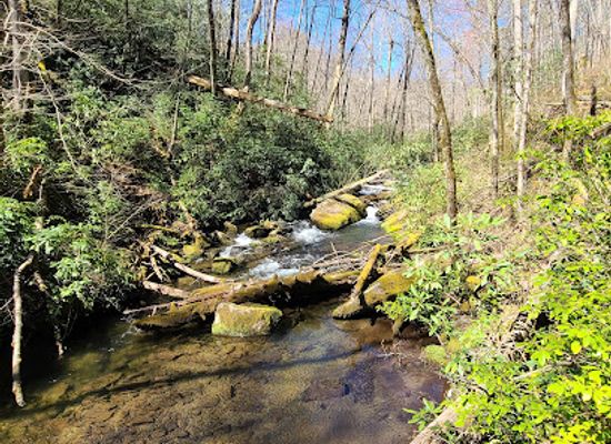 north-carolina/nantahala-national-forest/landmark/joyce-kilmer-memorial-forest-cheoah-ranger-district-nantahala-national-forest
