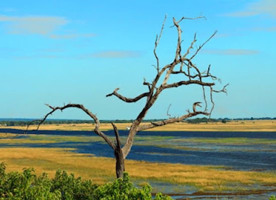 namibia/zambezi/landmark/caprivi-adventures