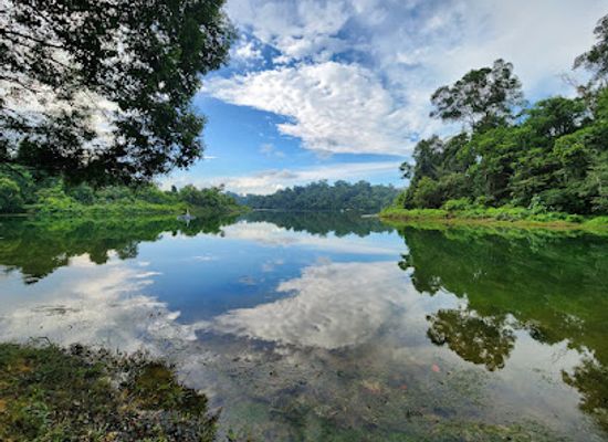 singapore/labrador-nature-reserve/landmark/windsor-nature-park
