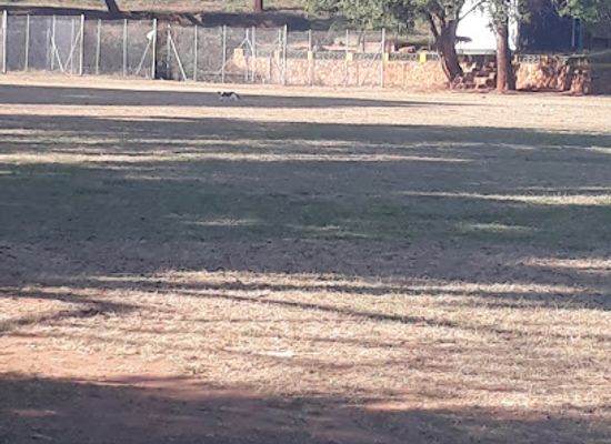 zimbabwe/mutare/landmark/fleming-rugby-field