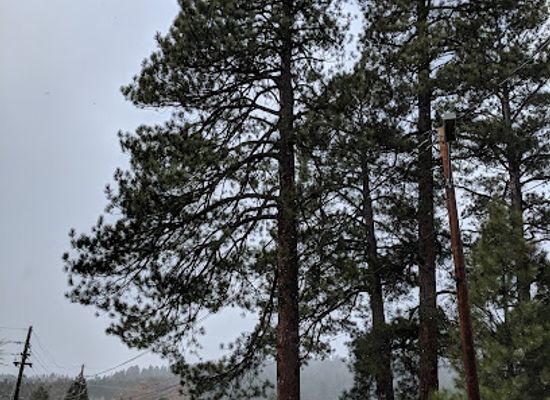 arizona/flagstaff/landmark/pioneer-museum-arizona-historical-society