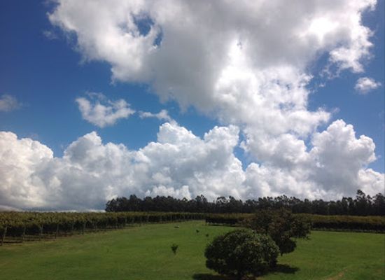 uruguay/rocha/landmark/artesana