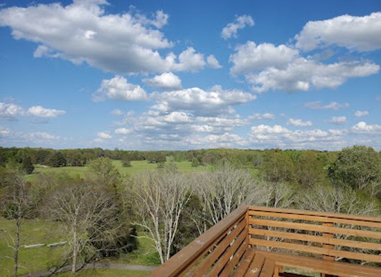 tennessee/middle-tennessee/landmark/pinson-mounds-state-archaeological-park
