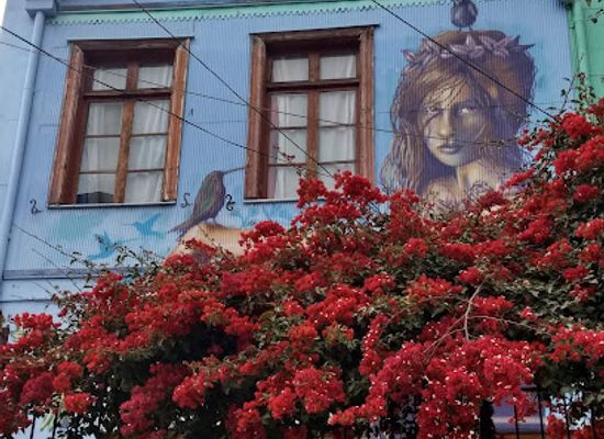 chile/valparaiso/landmark/tour-del-graffiti-valparaiso