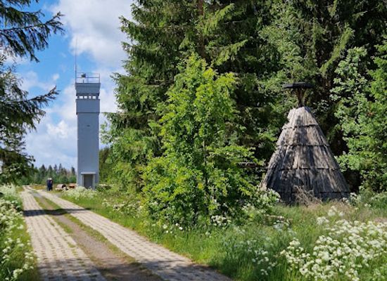 germany/harz-mountains/landmark/ring-der-erinnerung