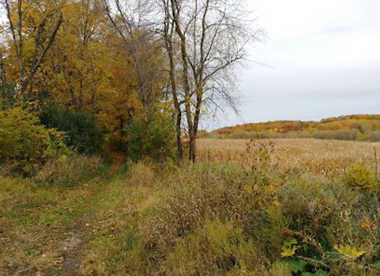 wisconsin/southeast-wisconsin/landmark/ice-age-trail-slinger-segment