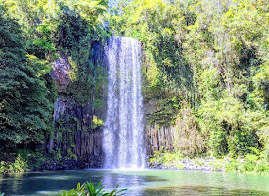 australia/far-north-queensland/landmark/millaa-millaa-falls
