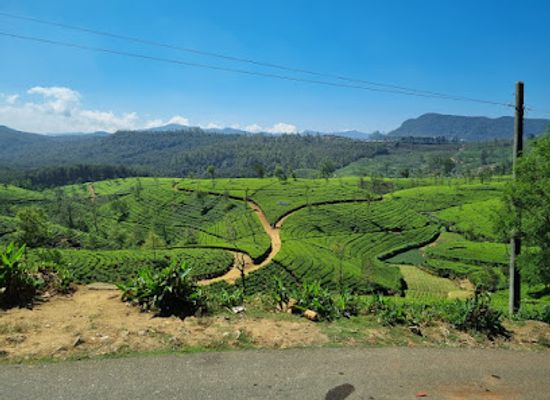 sri-lanka/matara-district/landmark/raze-tours-sri-lanka