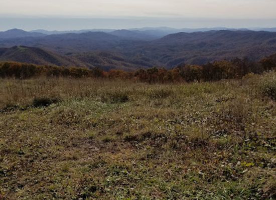 north-carolina/sandhills/landmark/pond-mountain-game-lands