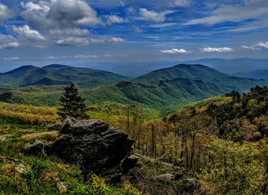 south-carolina/blue-ridge-mountains/landmark/singecat-ridge-overlook