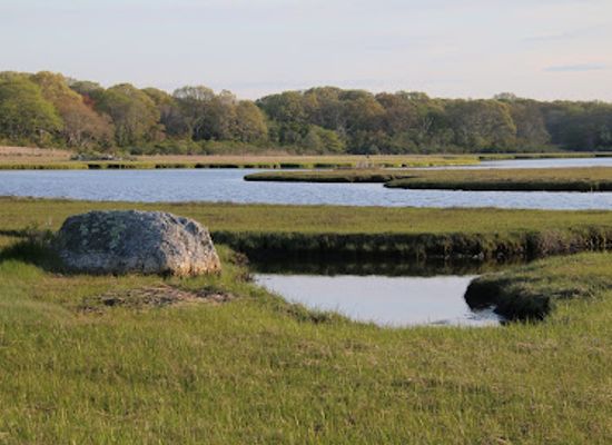 rhode-island/newport-county/landmark/mass-audubon-s-allens-pond-wildlife-sanctuary