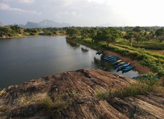 sri-lanka/north-western-province/landmark/sigiri-jungle-resort