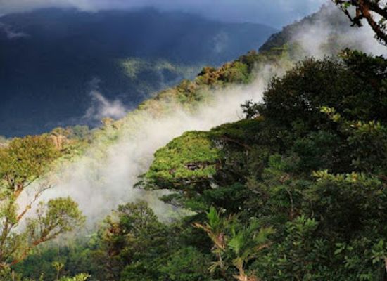 costa-rica/tilaran-range/landmark/monteverde-cloud-forest-biological-preserve