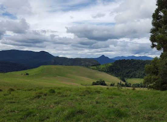 australia/darling-downs/landmark/main-range-national-park