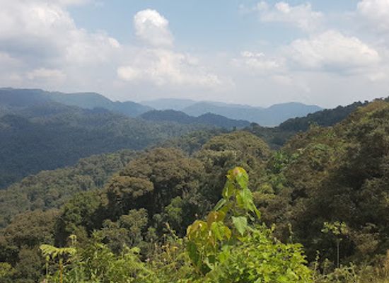 rwanda/volcanoes-national-park/landmark/nyungwe-forest-national-park