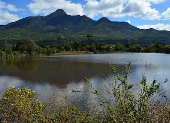 south-africa/garden-route/landmark/garden-route-botanical-garden