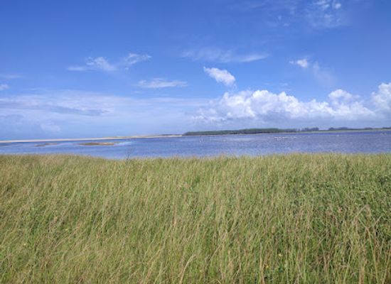 uruguay/rocha/landmark/sendero-barra-de-la-laguna