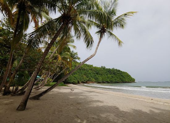 grenada/saint-david/landmark/la-sagesse-beach