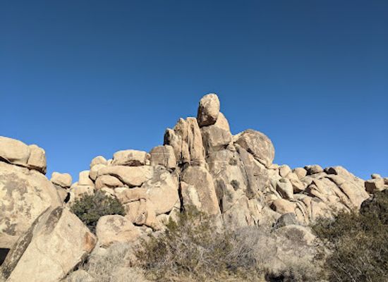 california/joshua-tree/landmark/joshua-tree-national-park-tour