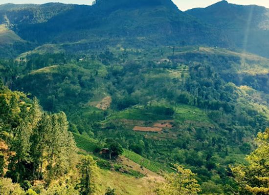sri-lanka/western-province/landmark/sri-lankan-safest-driver-private-tours