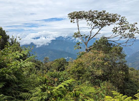 colombia/los-llanos/landmark/bogota-birding-colombia-wildlife-tours