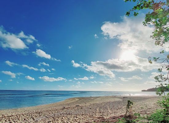 fiji/coral-coast/landmark/coral-coast-adventures-fiji-limited