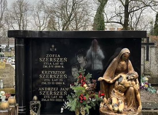 poland/warsaw/landmark/wilanow-cemetery