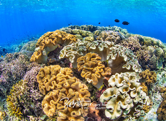 indonesia/pulau-bunaken/landmark/bunaken