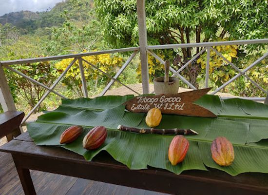 trinidad-and-tobago/st-paul/landmark/tobago-cocoa-estate