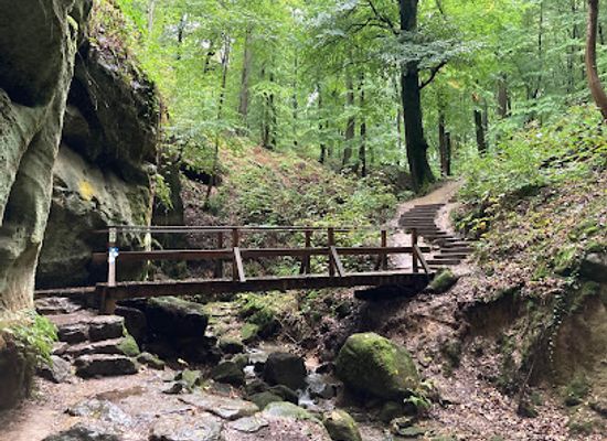 luxembourg/mullerthal-trail/landmark/mullerthal-trail-b2