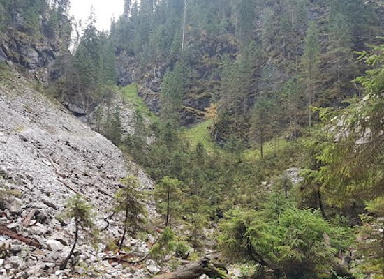 romania/apuseni-mountains/landmark/avenul-bortig