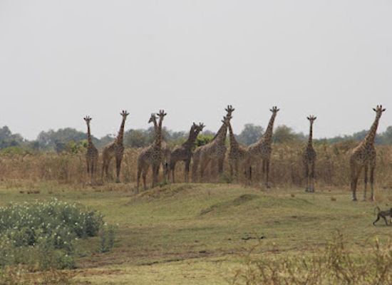 zambia/western-province/landmark/chibembe-closed-november-to-may