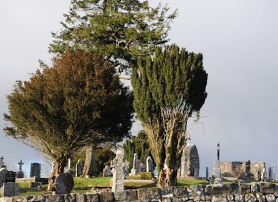 ireland/connacht/landmark/st-dermot-s-well
