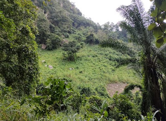 nigeria/owu-forest-reserve/landmark/erin-ijesha-waterfall