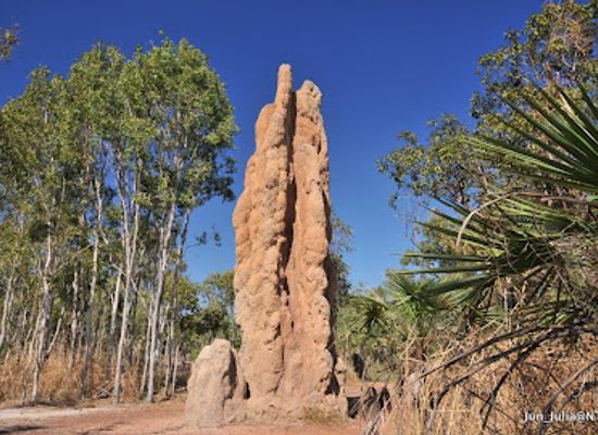 australia/litchfield-national-park/landmark/magnetic-termite-mounds